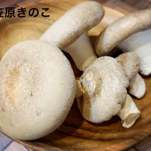 【俳優のおうち時間】橋本真一が「#シイタケつなぎ」ツイートに込めた密かな思いとファンへのエール イメージ画像