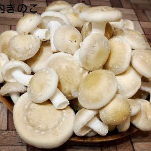 【俳優のおうち時間】橋本真一が「#シイタケつなぎ」ツイートに込めた密かな思いとファンへのエール イメージ画像