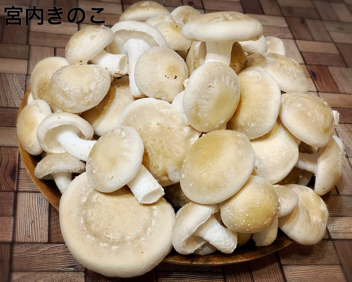 【俳優のおうち時間】橋本真一が「#シイタケつなぎ」ツイートに込めた密かな思いとファンへのエール イメージ画像