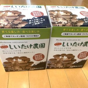 【俳優のおうち時間】橋本真一が「#シイタケつなぎ」ツイートに込めた密かな思いとファンへのエール イメージ画像