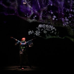 イリュージョン×映像の新体感型演劇『真Ninja Illusion LIVE The REAL』ゲネプロレポート イメージ画像