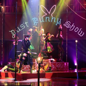 『DustBunnySHOW』本日開幕！ 仲万美「皆さまの娯楽に花を咲かせる」 イメージ画像