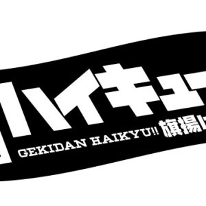 劇団「ハイキュー!!」、日向翔陽役は加藤憲史郎　上演時期も解禁 イメージ画像
