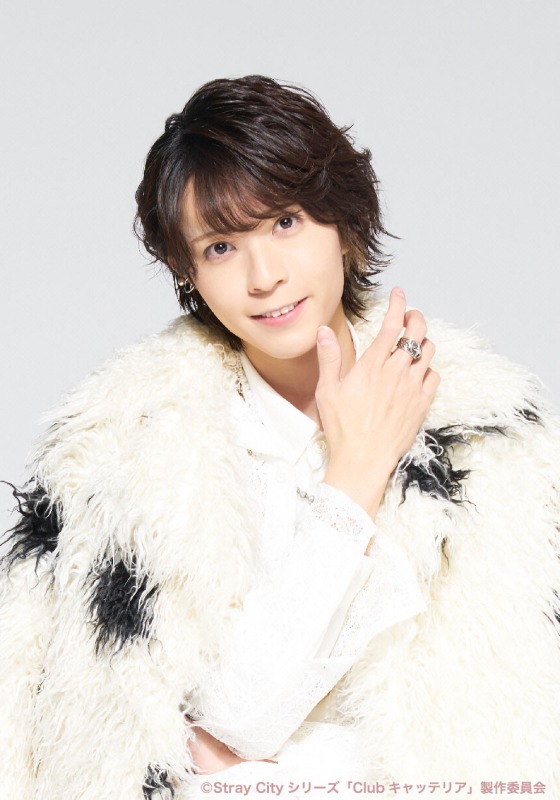 Stray Cityシリーズ「Club キャッテリア」上演決定　荒牧慶彦が企画・プロデュース、主演は石川凌雅 イメージ画像